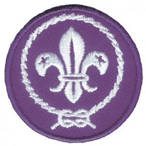 Promessa scout wosm