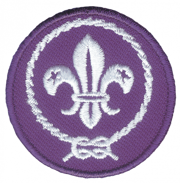 Promessa scout wosm