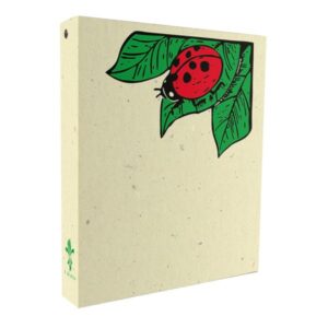 Quaderno Di Volo Coccinella