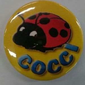 cocci