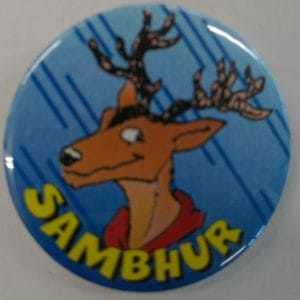Sambhur
