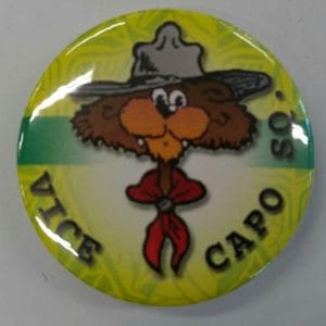 Vice Capo Squadriglia