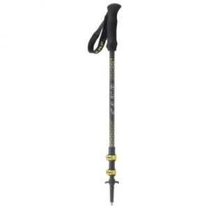 Bastoncini telescopici backcountry carbon 2.0 camp