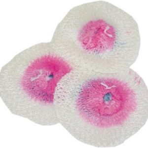 Retina standard camping gaz 3 pz.