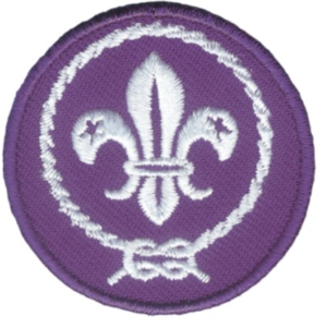 Distintivo stoffa - promessa wosm