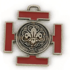 Distintivo assistente smaltato maglione