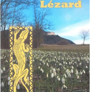 Il libro di lezard - tipi
