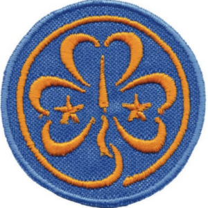 Distintivo stoffa - promessa waggs