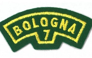 Distintivo stoffa - gruppo ricamato