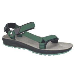 Sandalo trail lizard