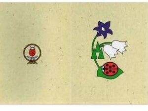 Quaderno volo coccinella