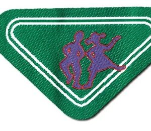 Specialita' l/c maestro di danze