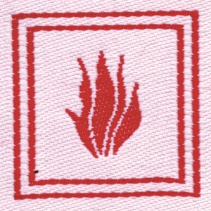 Specialita' e/g di pompiere