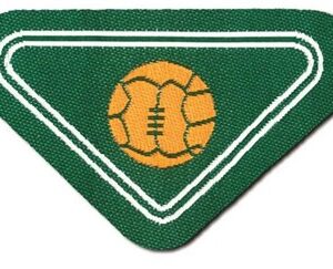 Specialita' l/c giocatore di squadra