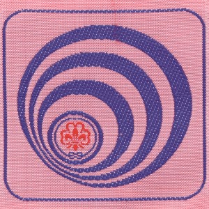 Competenza di cittadino del mondo