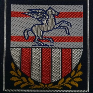 Distintivo agesci toscana