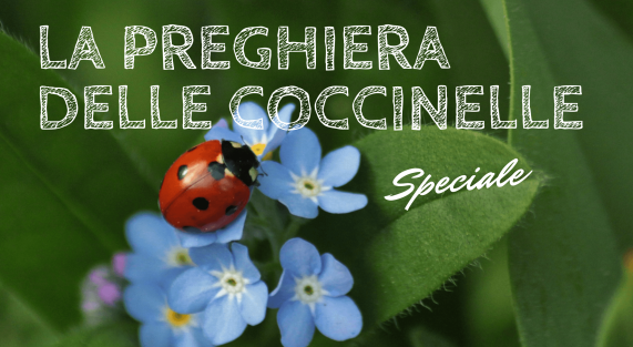 Preghiera-Coccinella