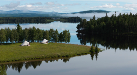 canvas camp copertina